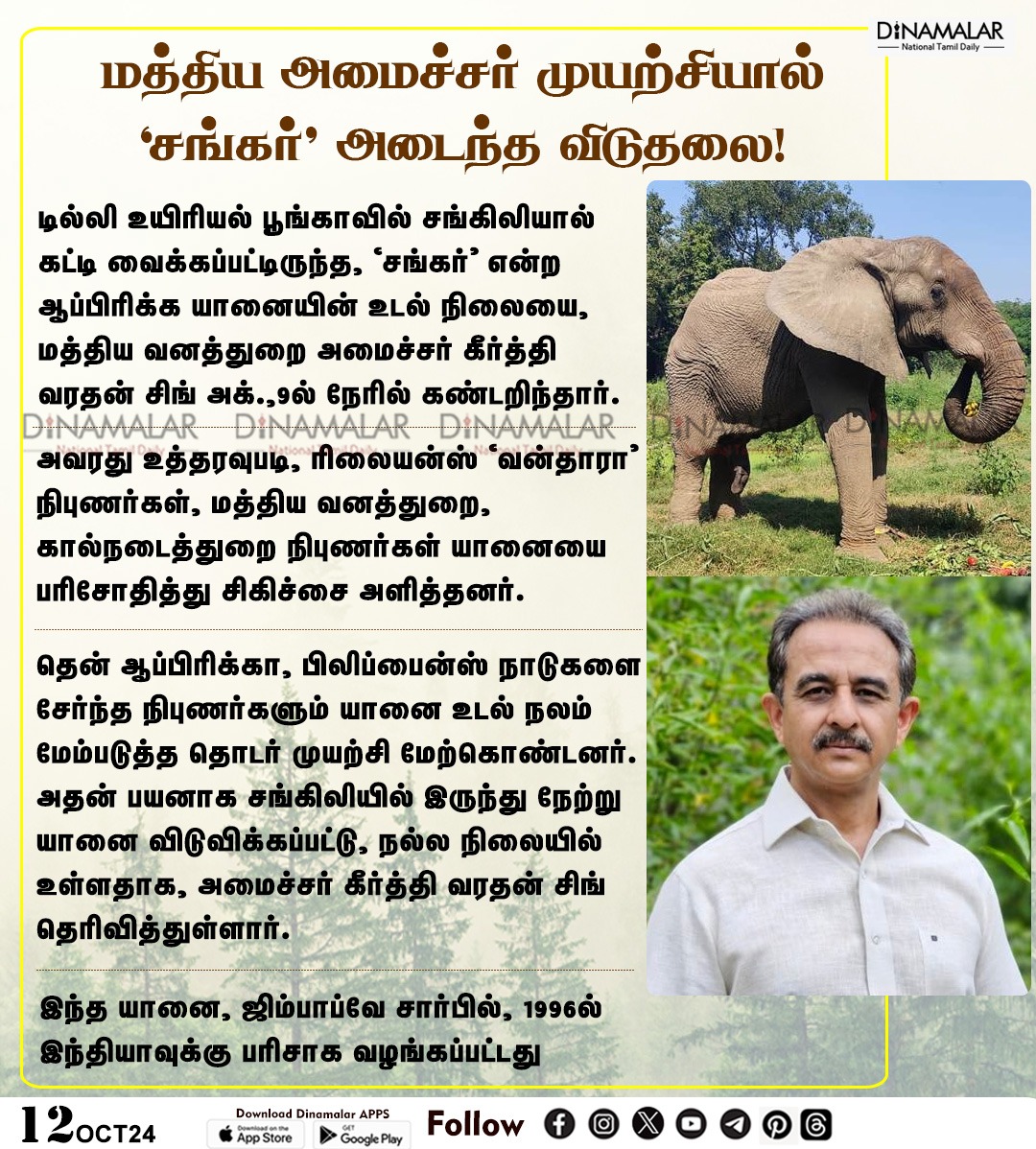dinamalarweb's tweet image. மத்திய அமைச்சர் முயற்சியால்
‘சங்கர்’ அடைந்த விடுதலை!
#ElephantShankar | #KeerthiVardhanSingh| #AfricaElephant| #unionForestMinister
dinamalar.com