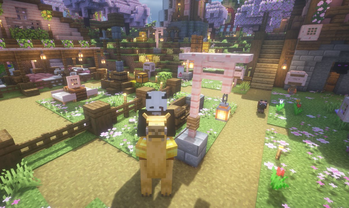 travelled 6k blocks for this silly guy