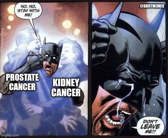 Urologists in 2026 when sbrt takes over
#handitover
#comingforbladdernext
#donth8ablate
#radonc