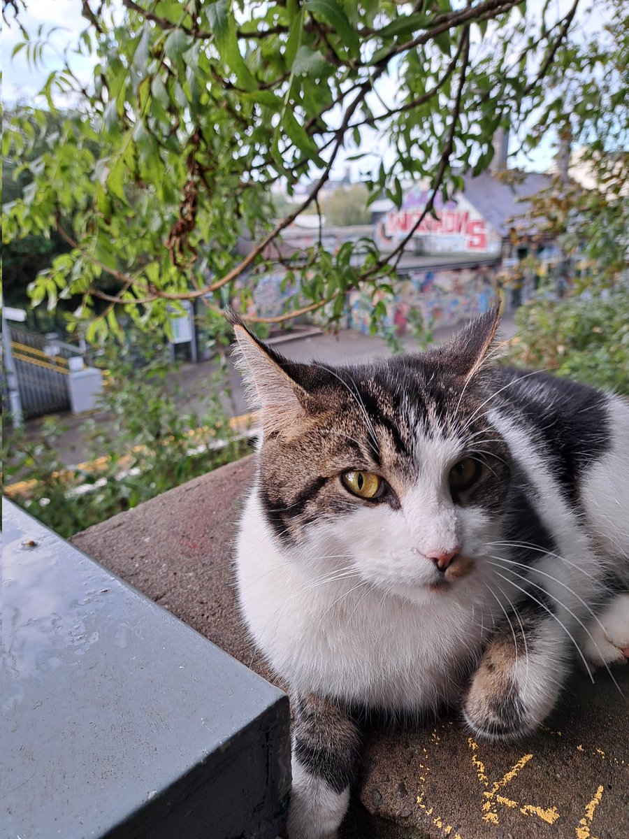 Good to see everything is in order at Montpelier this morning..! #bristolrail