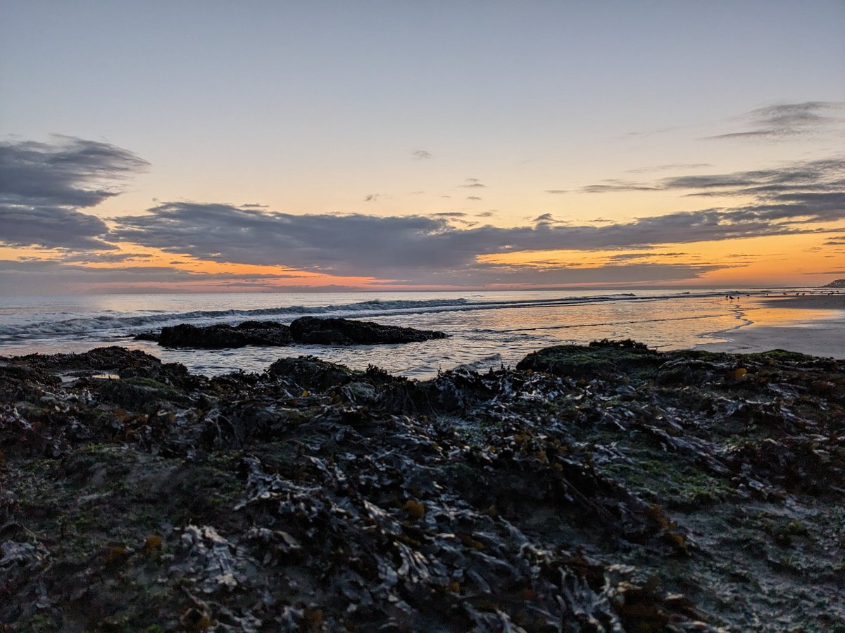 BioNept (@bionept) on Twitter photo Gone fieldworking!🔨🌊🪣
📍 Saint-Aubin-sur-Mer, France 🇨🇵 — soft light, crisp air, perfect start
🌬️🌄🌊#MarineScience #intertidal #biodiversity <a href="/univ_lille/">Université de Lille</a> <a href="/LOG_labo/">Laboratoire d’Océanologie et de Géosciences</a> <a href="/RechercheUlille/">Recherche - Université de Lille</a> <a href="/fst_univlille/">fst_univlille</a> Gone fieldworking!🔨🌊🪣
📍 Saint-Aubin-sur-Mer, France 🇨🇵 — soft light, crisp air, perfect start
🌬️🌄🌊#MarineScience #intertidal #biodiversity <a href="/univ_lille/">Université de Lille</a> <a href="/LOG_labo/">Laboratoire d’Océanologie et de Géosciences</a> <a href="/RechercheUlille/">Recherche - Université de Lille</a> <a href="/fst_univlille/">fst_univlille</a>