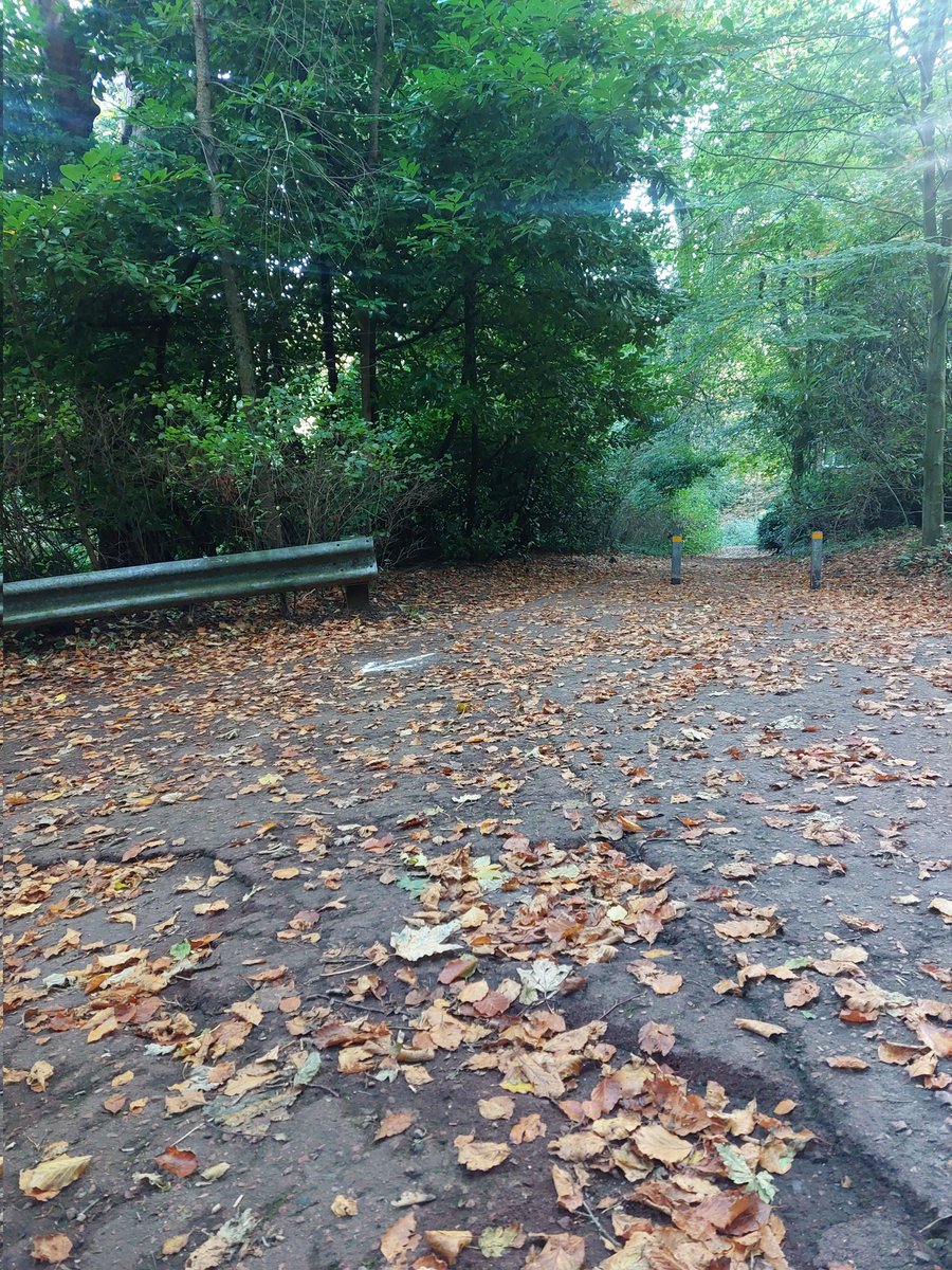 wigsterr's tweet photo. Saturday morning volunteering at Parkrun. Gorgeous morning, if a bit chilly! https://t.co/Fd0jZhLfMk