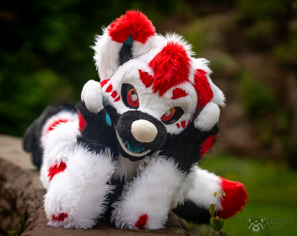 Xtremetoertchen's tweet photo. Henlo, I'm fluffi :3
📷 @DuskPanda https://t.co/KBtbXOxl8H