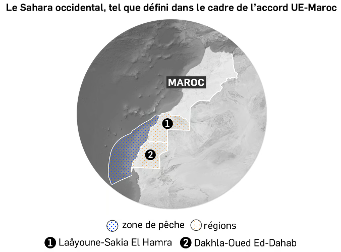 #Maroc : quel est l’impact de l’annulation des accords au Sahara occidental par la justice européenne ? - Décryptage en infographies par @marie_tlmd 
jeuneafrique.com/1619488/econom…