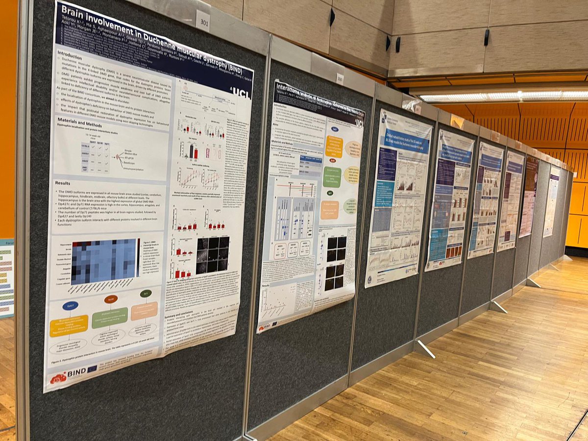 Missed our posters at the World Muscle Society 2024? Check them out in the #WMS2024 virtual platform!

Data on brain involvement in dystrophinopathies in Duchenne and Becker muscular dystrophy is presented BIND various partners.

Happy to take questions!
