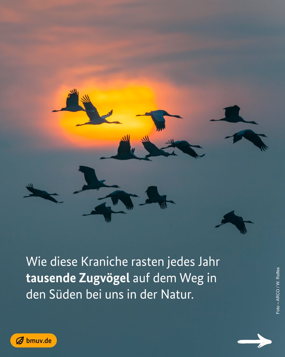 Bundesumweltministerium tweet media