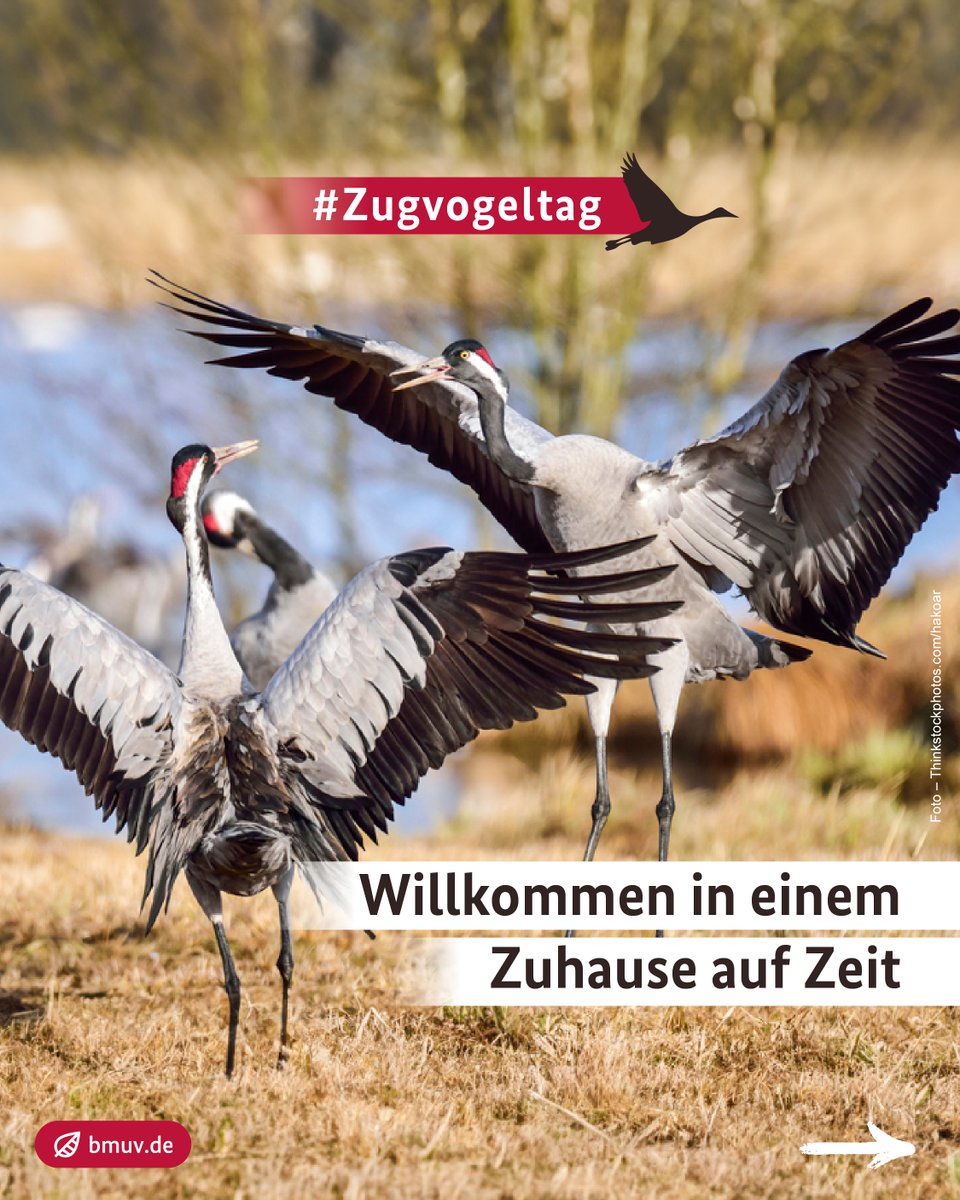 Bundesumweltministerium tweet media