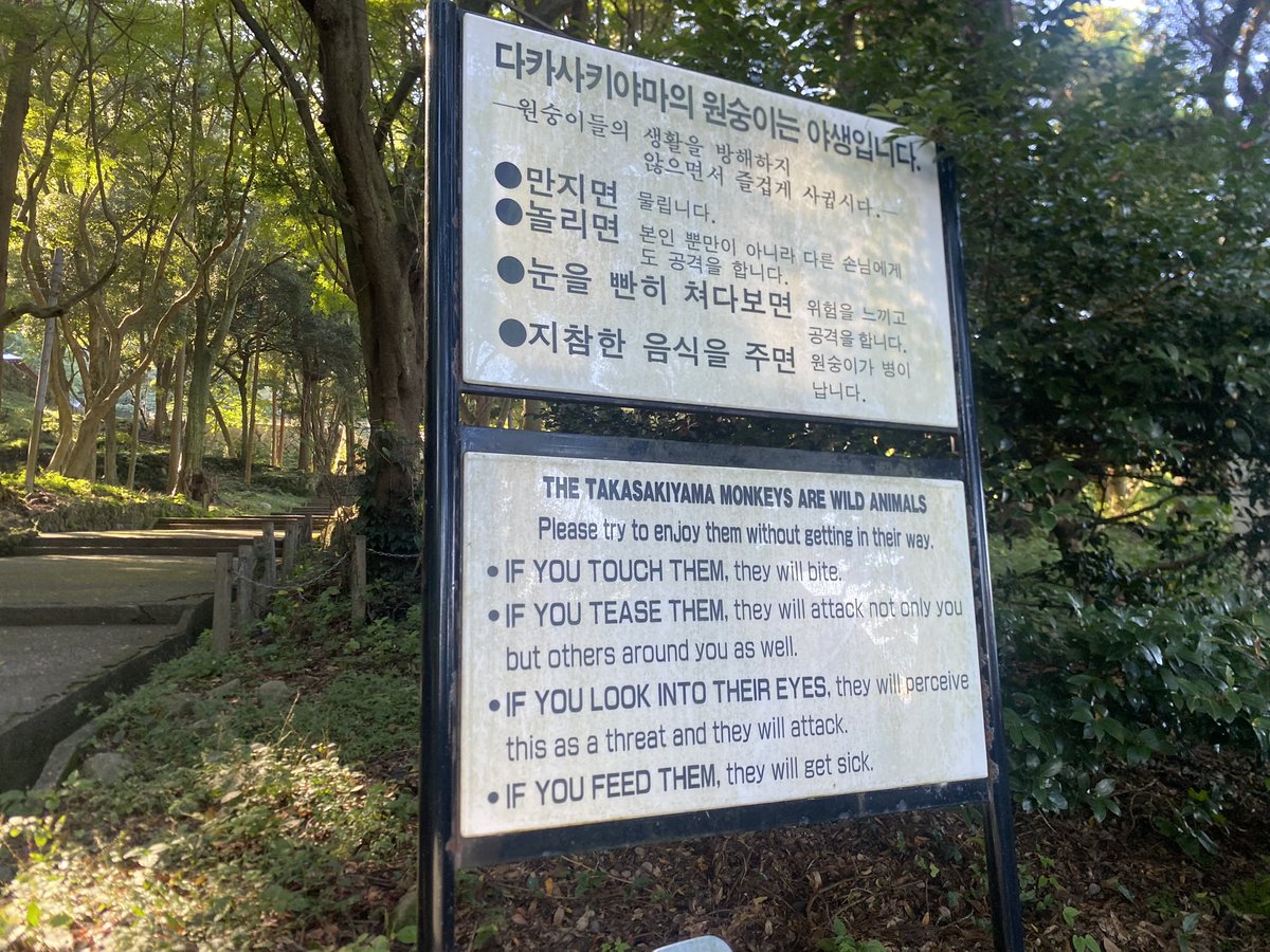 WitchProm's tweet image. My new dating profile.