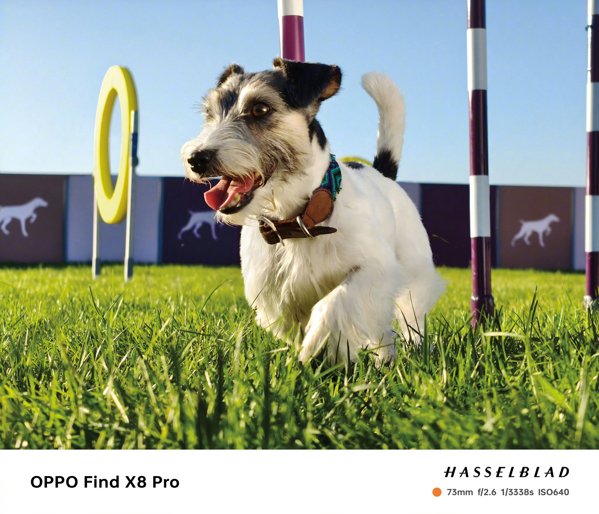 OPPO Find X8 Pro Fotoğraf