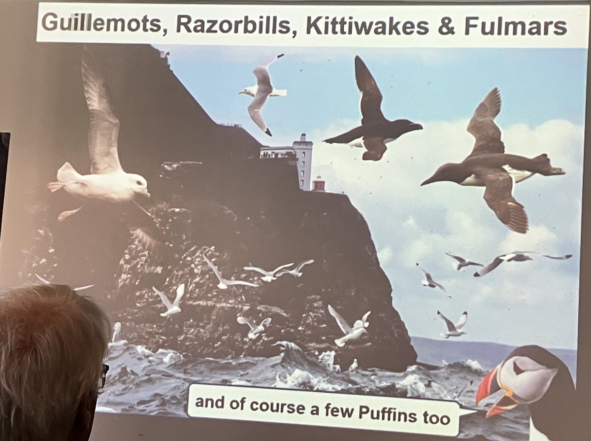 Nice to see birds at a botany conference - a talk on the flora of Rathlin island by Ric Else &amp; Hazel Watson of <a href="/_Stickybeak/">Rathlin Stickybeak</a>. #BSBIAutumnMeeting <a href="/BSBI_Ireland/">BSBI Ireland</a> <a href="/BSBIbotany/">BSBI: Botanical Society of Britain & Ireland</a>