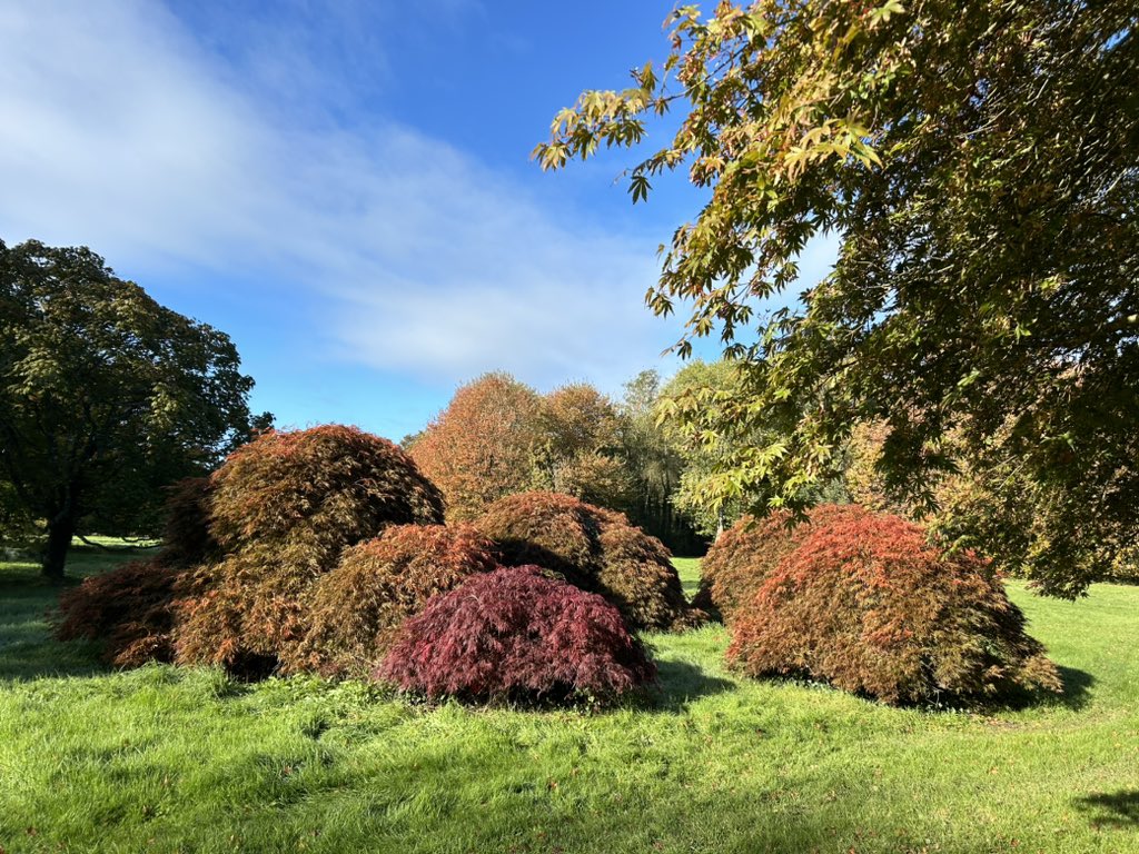 Mag Goldsmith Stamp tweet media