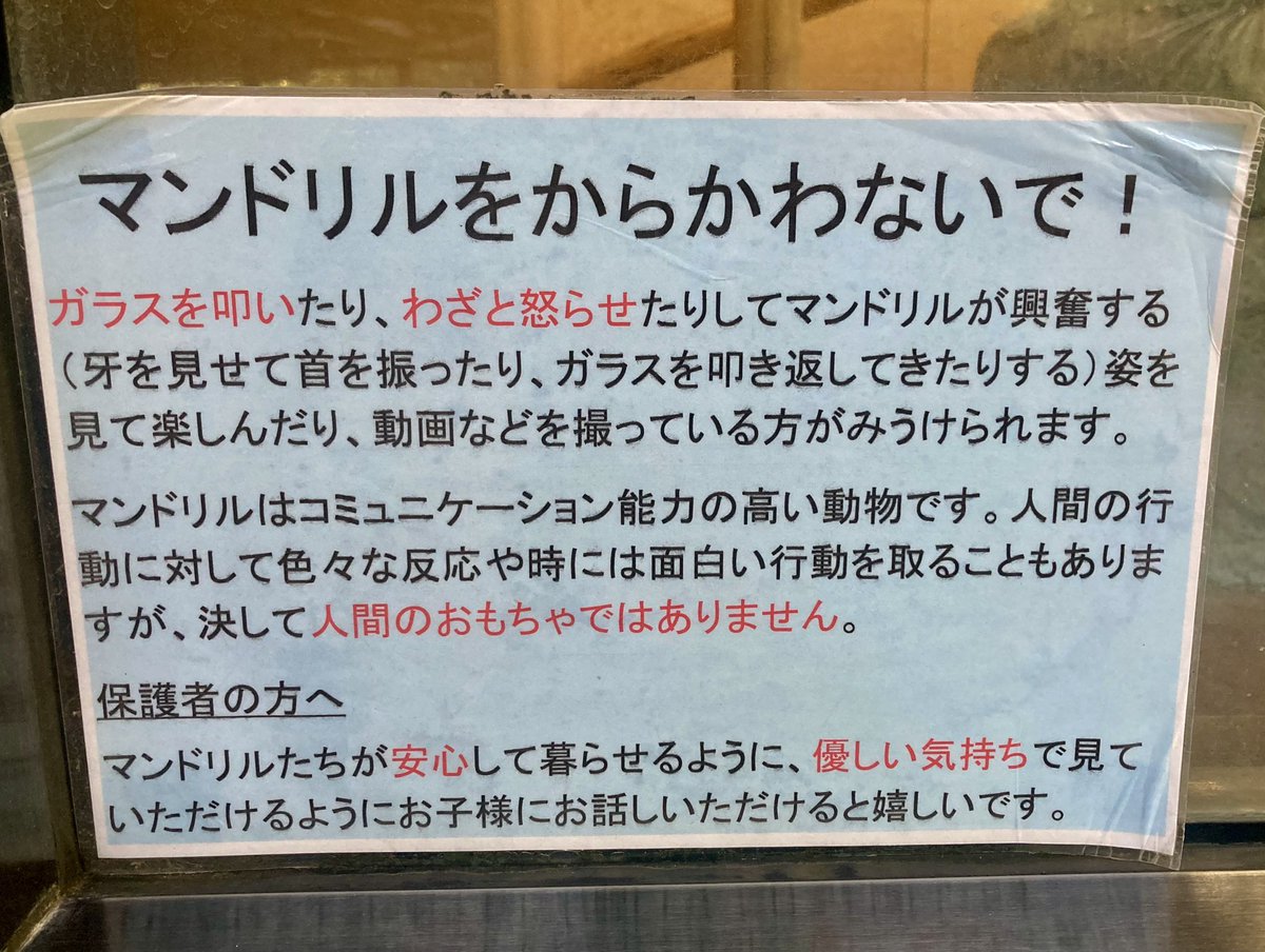 Mandriller M tweet media