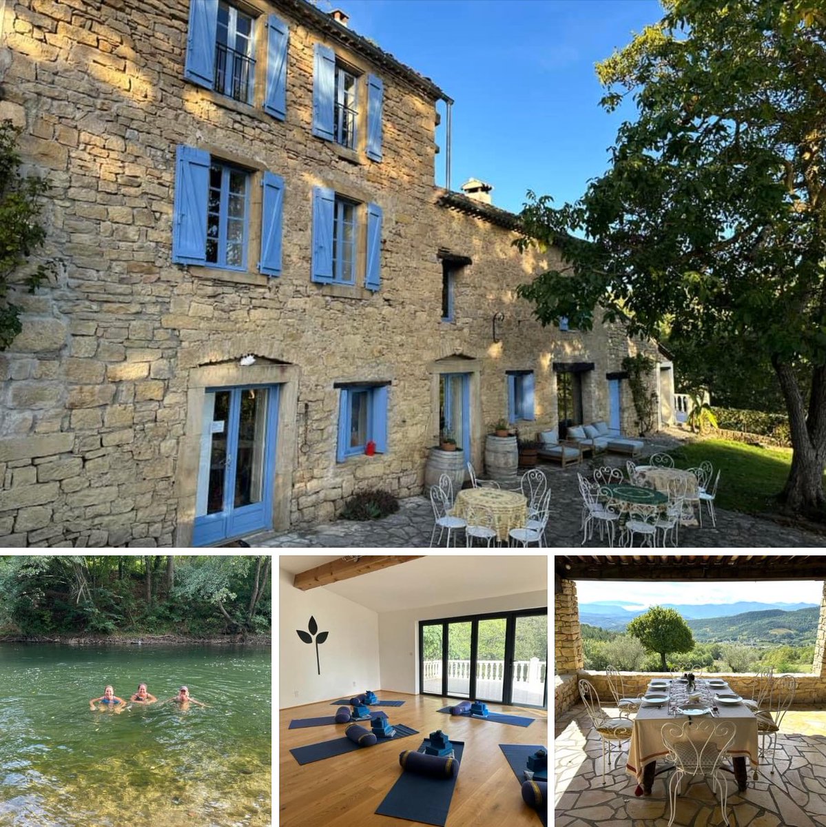 Joyce Harper tweet media