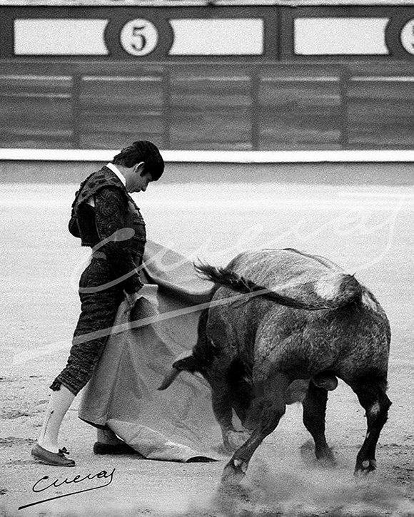 El singular toreo de capa de...

- Rafael de Paula

👉Prohibida su reproducción total o parcial ©®