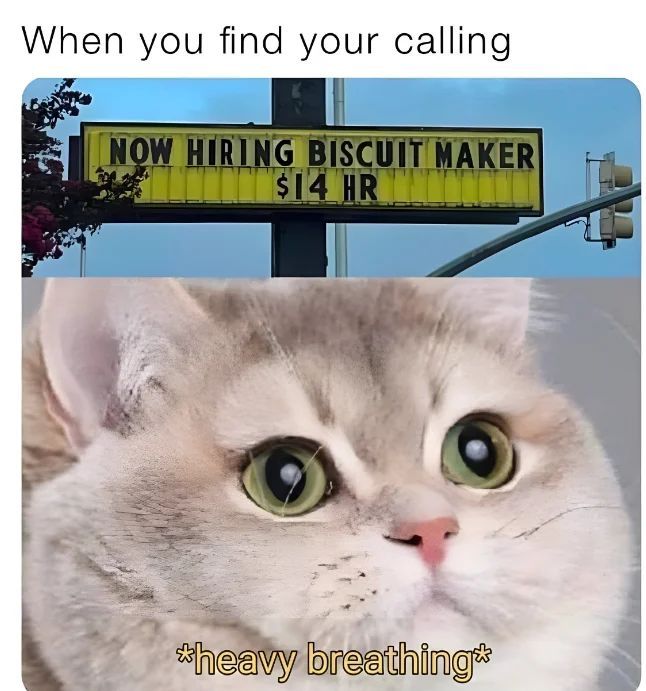 WholesomeMemes (@wholesomememe) on Twitter photo 