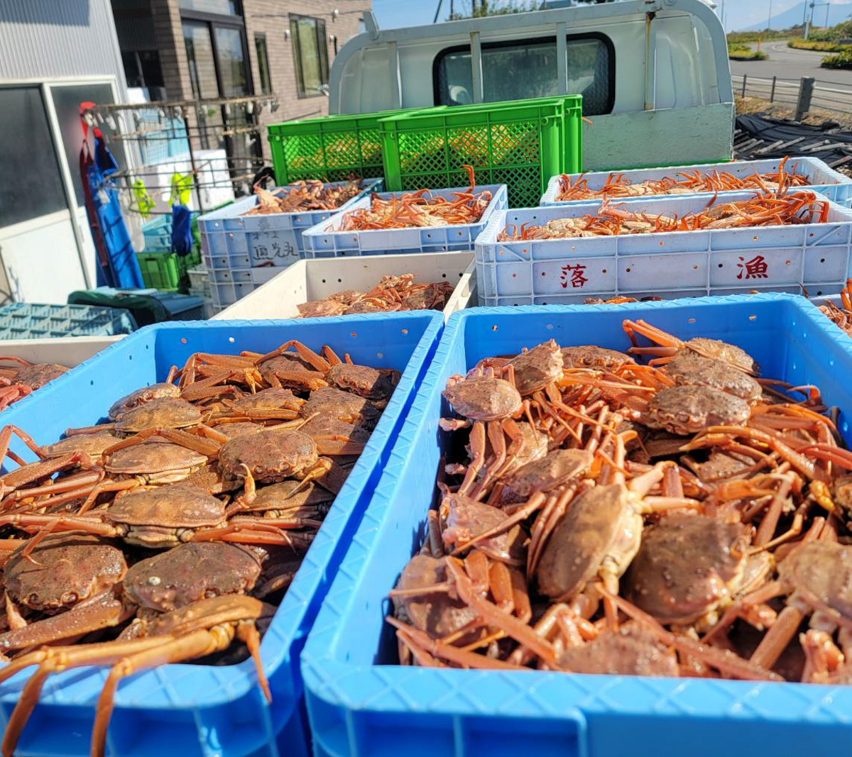 ✴︎ご成約品✴︎リピーター様割引　１点 ✴︎ご成約品✴︎リピーター様割引　１点