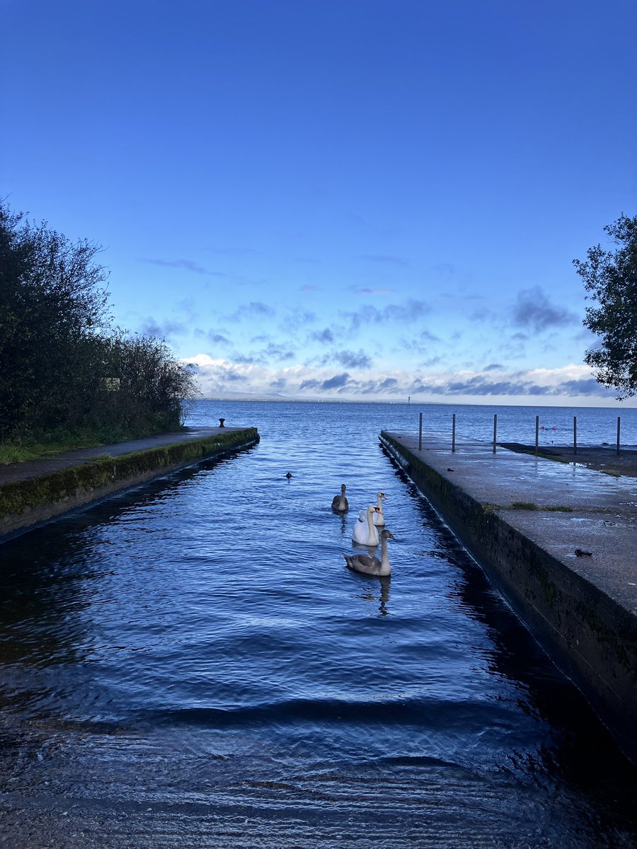 Oonagh Duggan tweet media