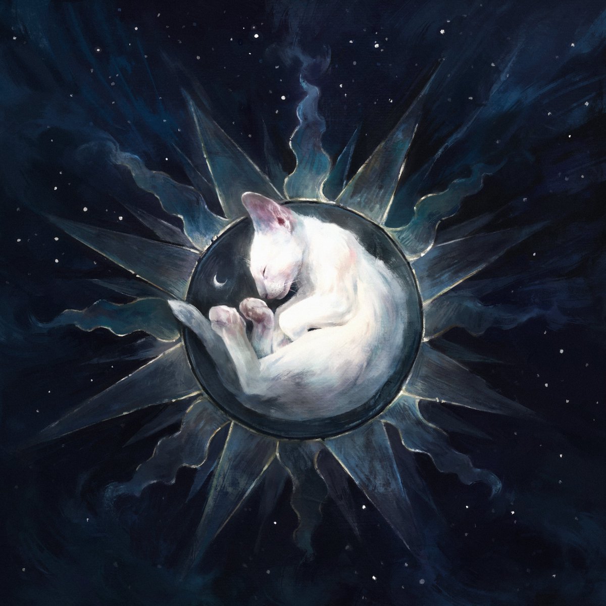 Maéna Paillet tweet media