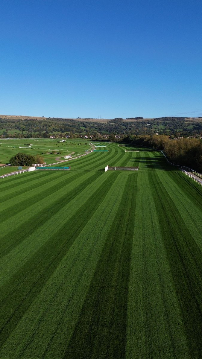 CheltenhamRacecourse tweet media