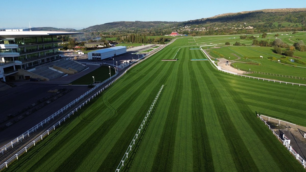 CheltenhamRacecourse tweet media