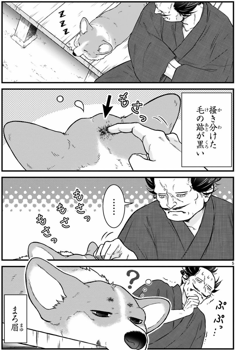 コーギーの秘密

#殿と犬🐶 