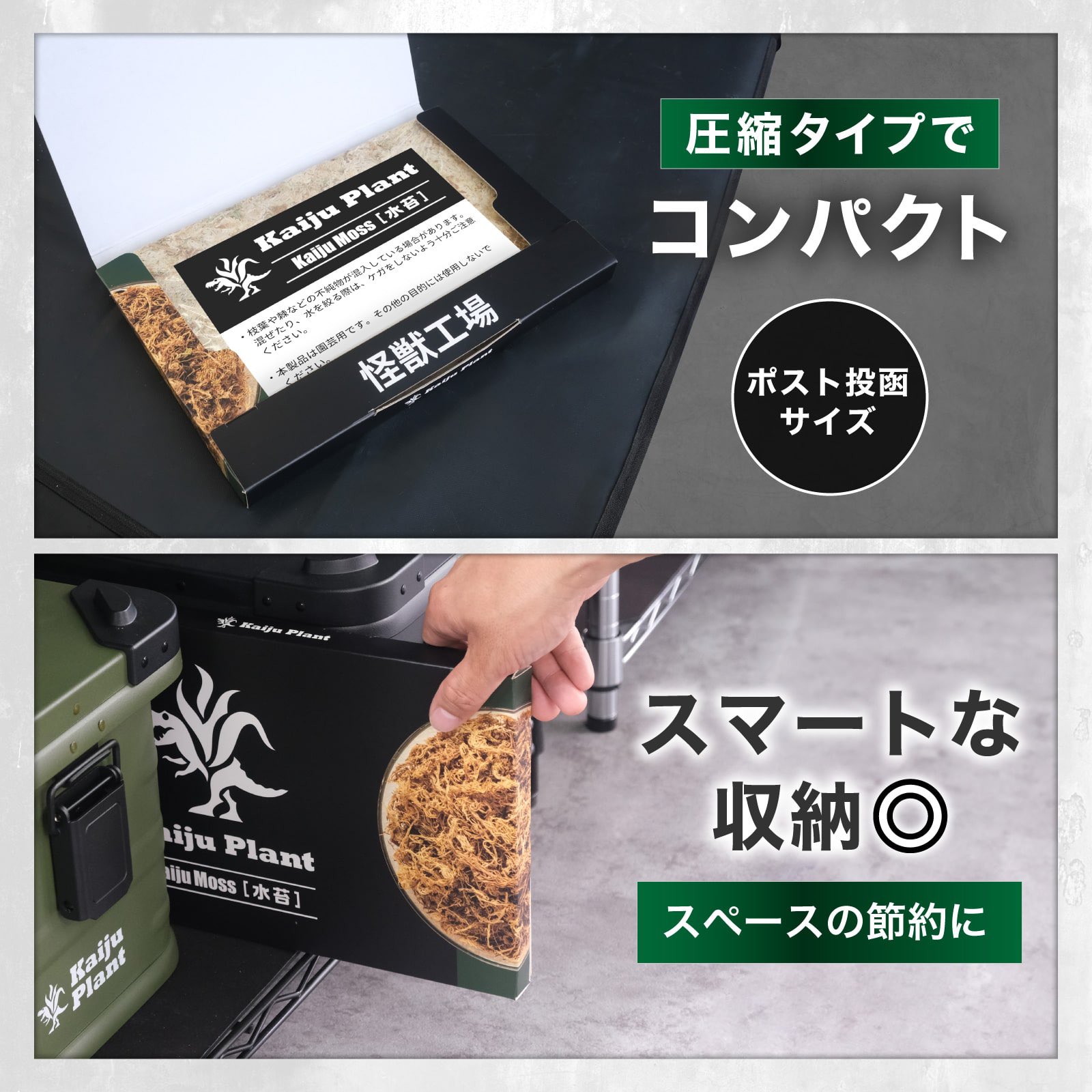 Highlights by Kaiju_Plant 【怪獣工場】 (@kaiju_plant) / X