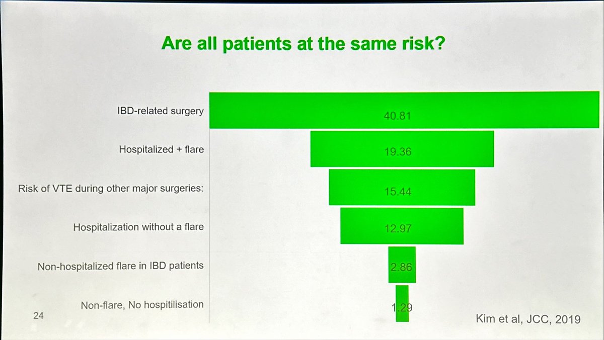 Beatriz Gros tweet media