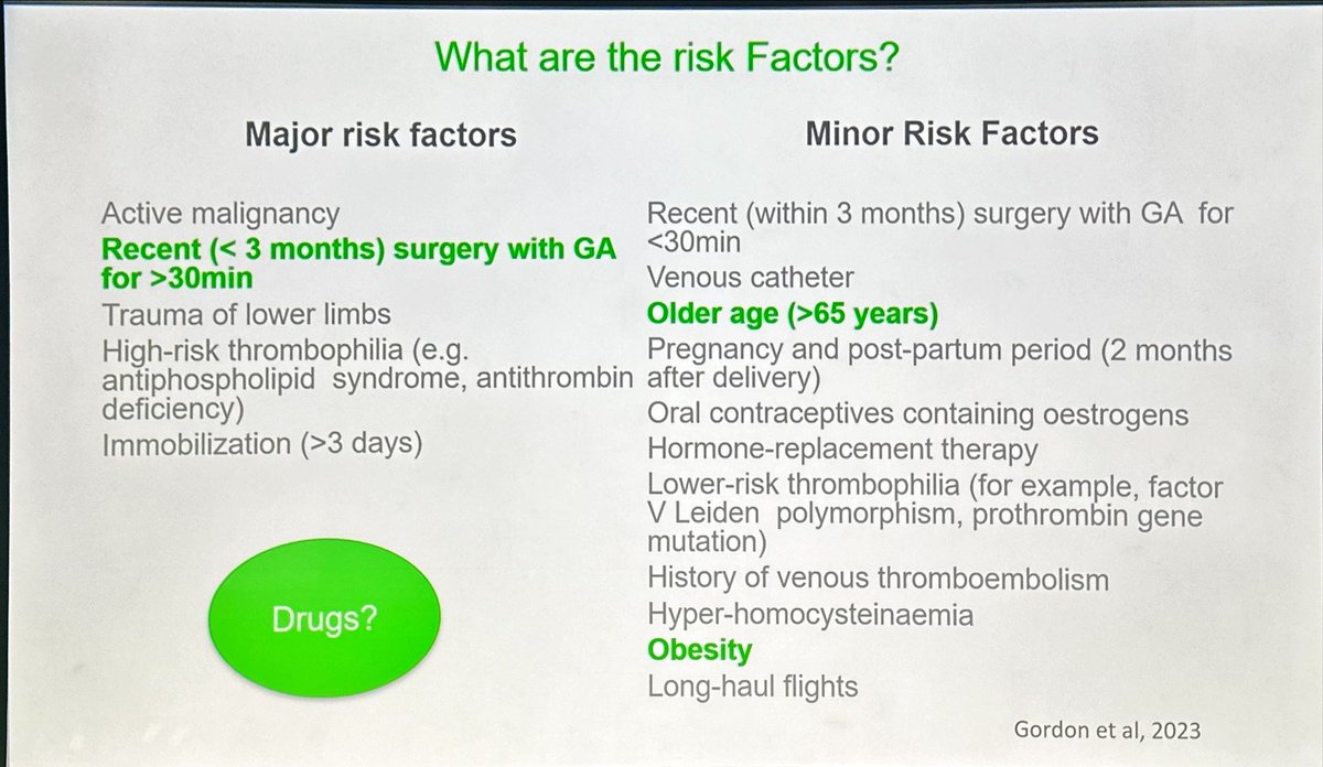 Beatriz Gros tweet media