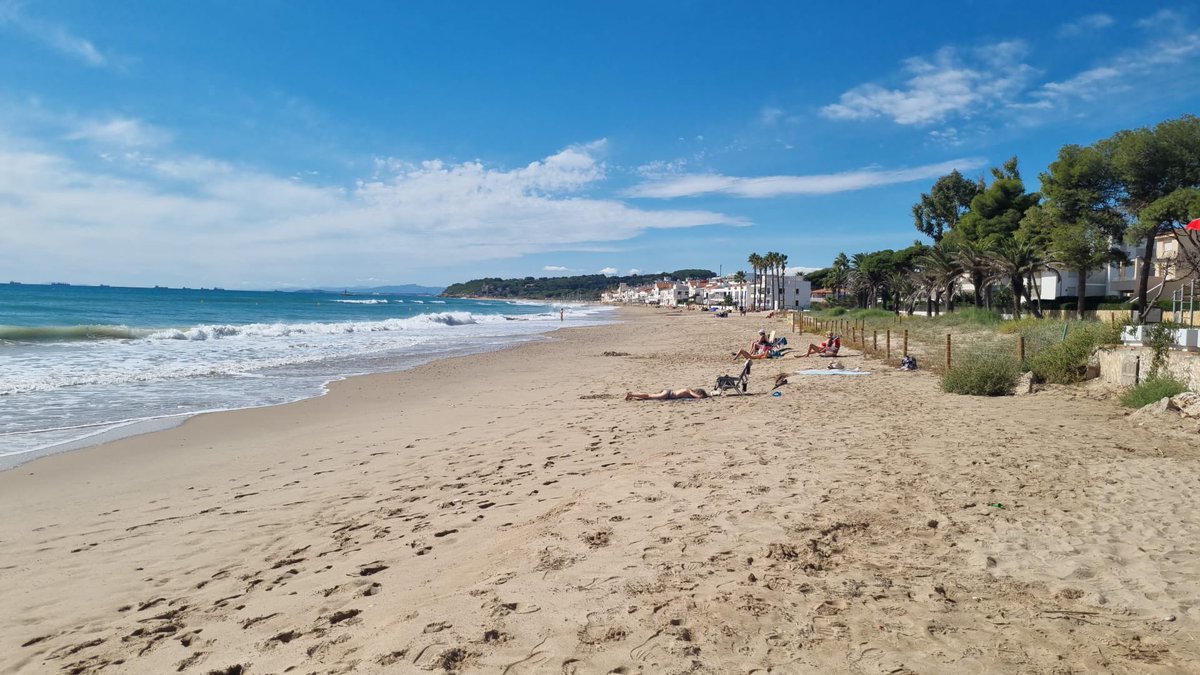 xiscoroig's tweet photo. Resultat de la modificació del perfil de platja associat a les dunes #Altafulla. Actuen com a reservori i protegeixen el parc. Gestions per l’adaptació cc/ @RecasensRamon @jordimolinera @albamuntadas @arba_litoral @lopezmonne @leobejarano @PlatfLitoral @diaridtarragona https://t.co/VzFM4kL5YW