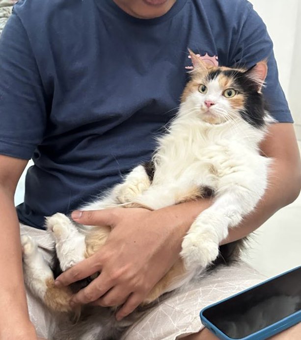 Nyonya mislodi sangat rizz