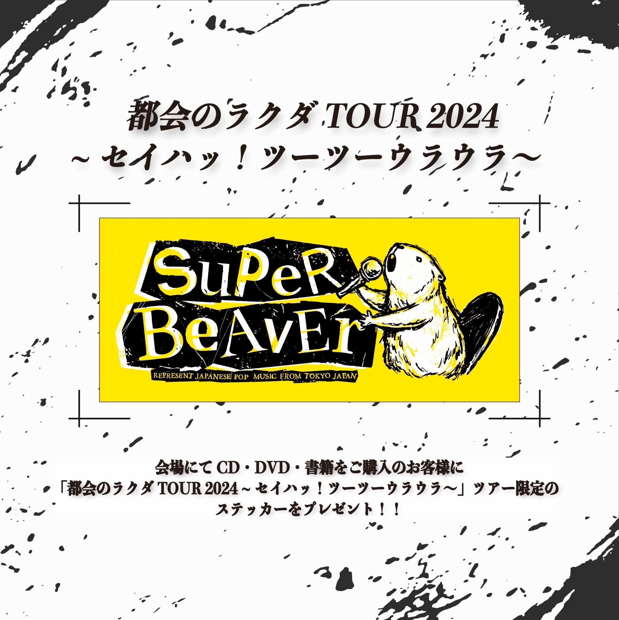 SUPER BEAVER on X: 