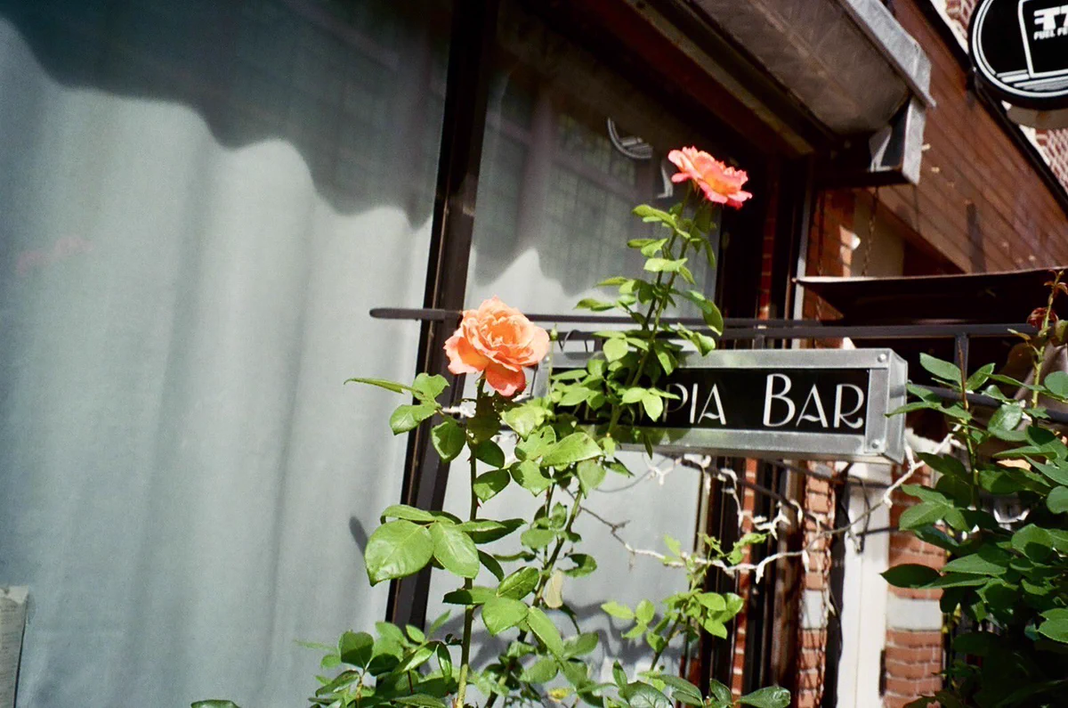 希少品】【Mrs.GREEN APPLE】若井写真館T 希少品】【Mrs.GREEN APPLE
