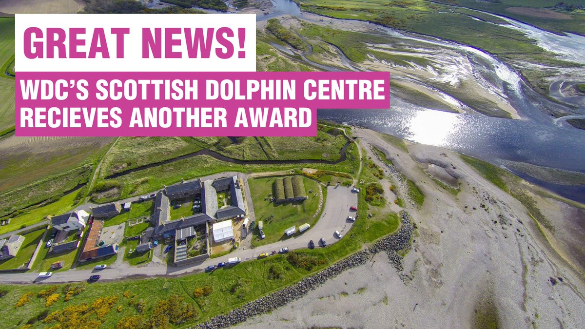 Whale and Dolphin Conservation (WDC) (@whalesorg) on Twitter photo Exciting news! Huge congrats to our team at the Scottish Dolphin Centre (<a href="/Dolphinsighting/">Dolphin Centre WDC</a>) for receiving the Employer Recognition award from Developing Young Workers. Keep up the amazing work! 👉ow.ly/uFHx50THwk4 Exciting news! Huge congrats to our team at the Scottish Dolphin Centre (<a href="/Dolphinsighting/">Dolphin Centre WDC</a>) for receiving the Employer Recognition award from Developing Young Workers. Keep up the amazing work! 👉ow.ly/uFHx50THwk4