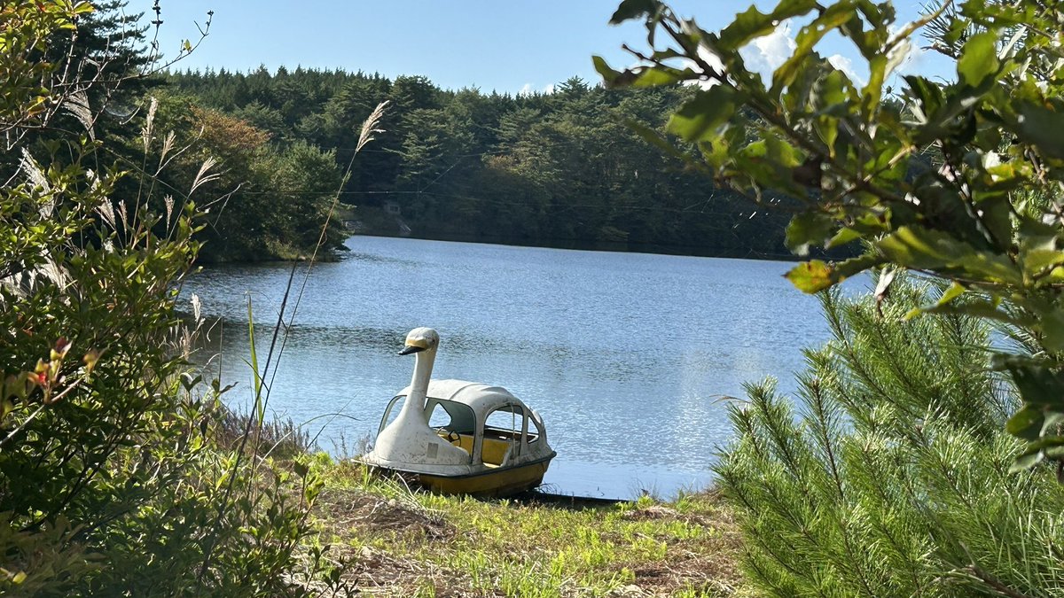 olive27sapphire's tweet photo. 散歩に出かけたら
誰もいない高原に
ポツンとスワンボートが
ありました
素敵な湖なのにな 

#根の上高原 https://t.co/ikQAyaNe6M