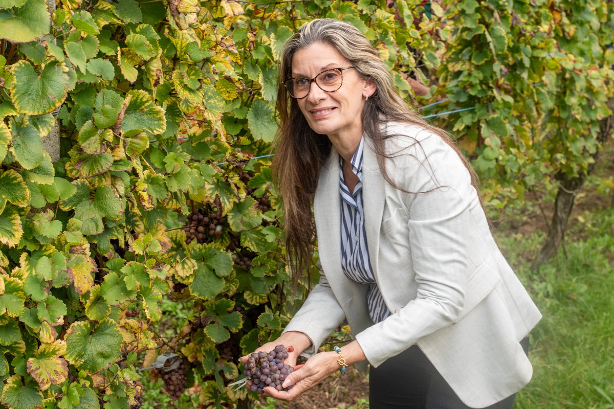 Valérie DELOGE tweet media