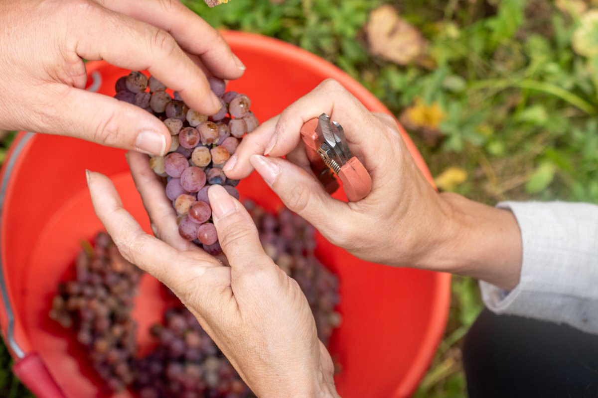 Valérie DELOGE tweet media