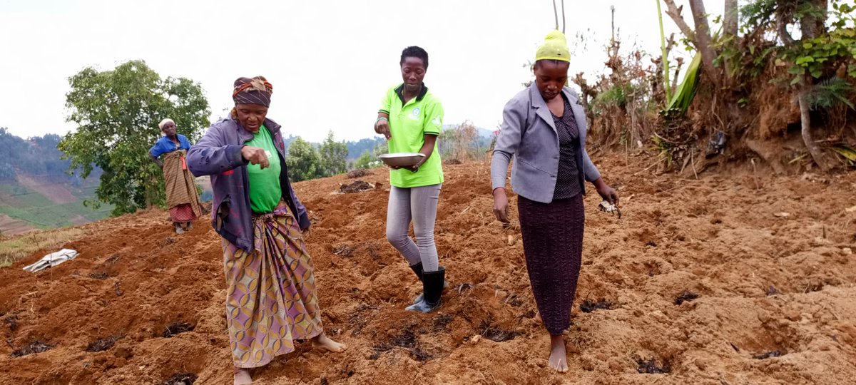 USAID Hinga Wunguke tweet media