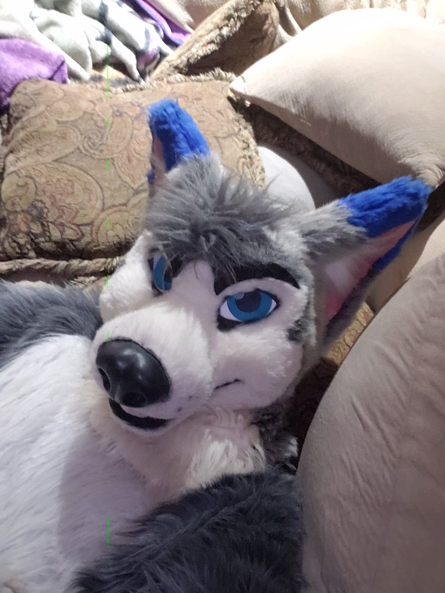 Fursuit Friday just chillen