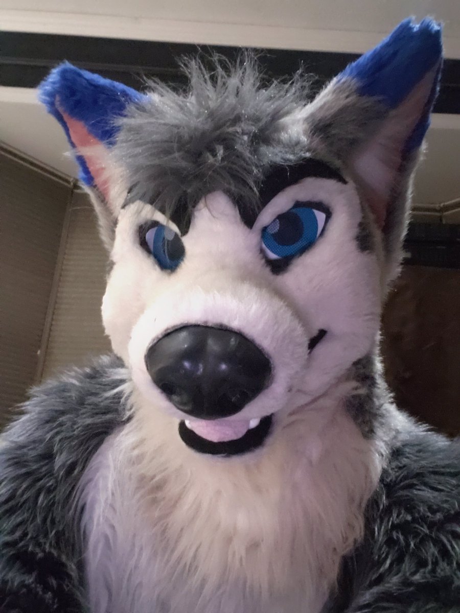 Nitro (@alphadogs5) on Twitter photo 