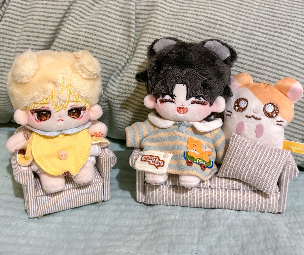 jinjjamasidda's tweet photo. 인형용 소파 장만함
이게어른이야 https://t.co/8wEEpatuDh