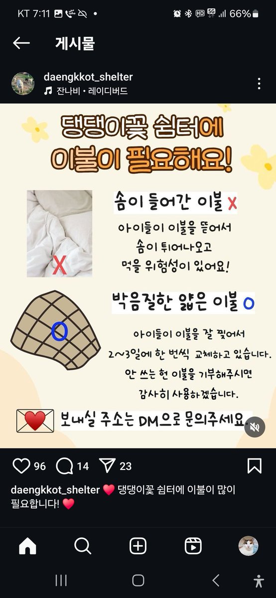 animalrtaccount's tweet photo. 보호소에서 이불필요하데요~~
솜이불은 위험해요 안돼요~ 아이들이 씹어먹을수잇어요ㅜ.ㅜ https://t.co/cCMS49A8cD