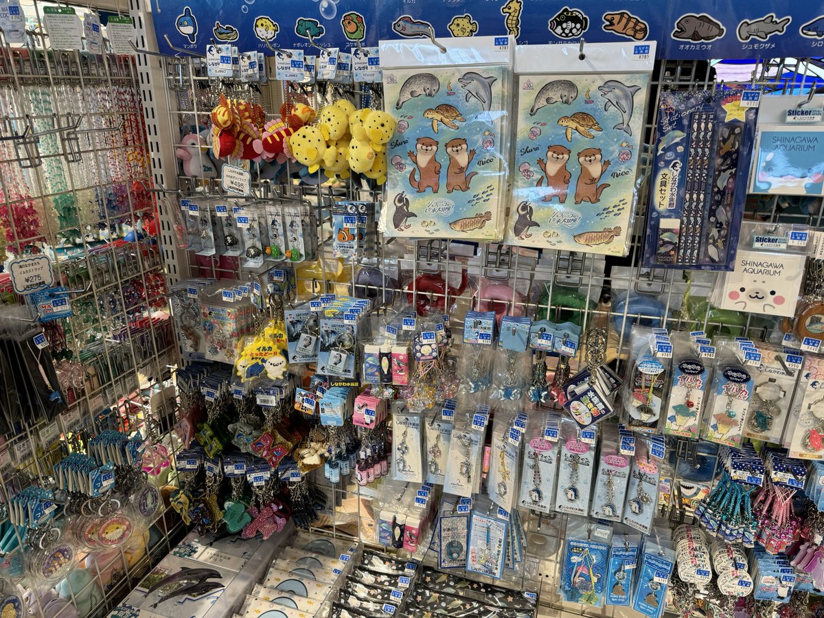 水族館のお土産売り場平成だったな~⭐︎🦭