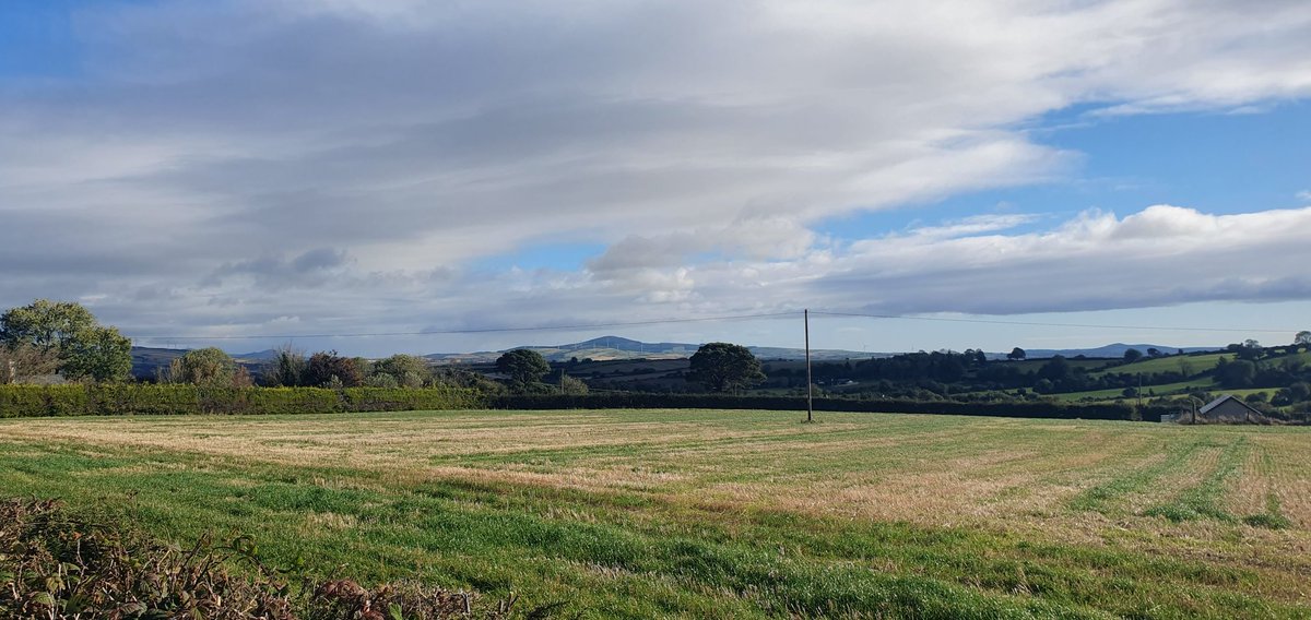 Wfskelton's tweet photo. Breezy but nice here near Bunclody https://t.co/2aIfbUQW3F