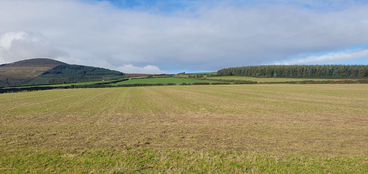Wfskelton's tweet photo. Breezy but nice here near Bunclody https://t.co/2aIfbUQW3F