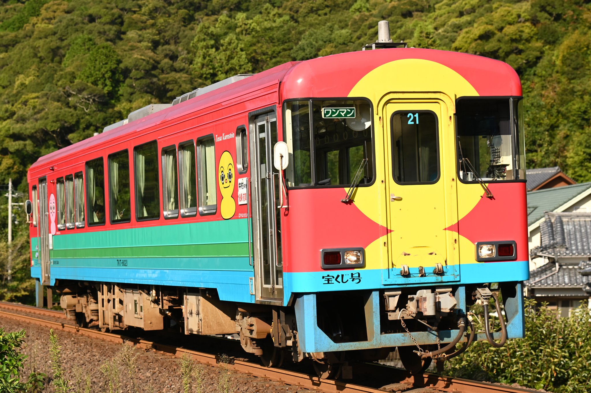 おみってぃんーの様用　信州産青梅8キロ！ 青梅畜産センター｜東京都青梅市 - USHICAMERA