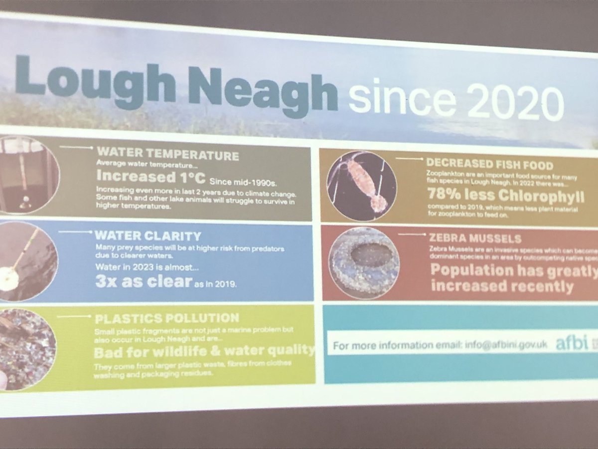 Julia Hanmer tweet media