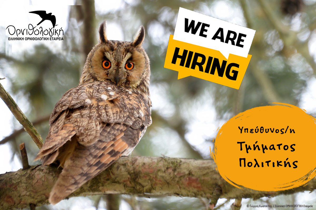 ornithologiki's tweet image. 📣📣 Προκήρυξη Θέσης: Υπεύθυνος/η Πολιτικής

Η #ΟΡΝΙΘΟΛΟΓΙΚΗ αναζητά συνεργάτη πλήρους απασχόλησης για τη θέση του/της Υπεύθυνου/ης του Τμήματος Πολιτικής της Οργάνωσης στην Αθήνα.

📅 Υποβολή αιτήσεων έως: 8/11/2024
☑️ Περισσότερες πληροφορίες: ornithologiki.gr/el/ornithologi…