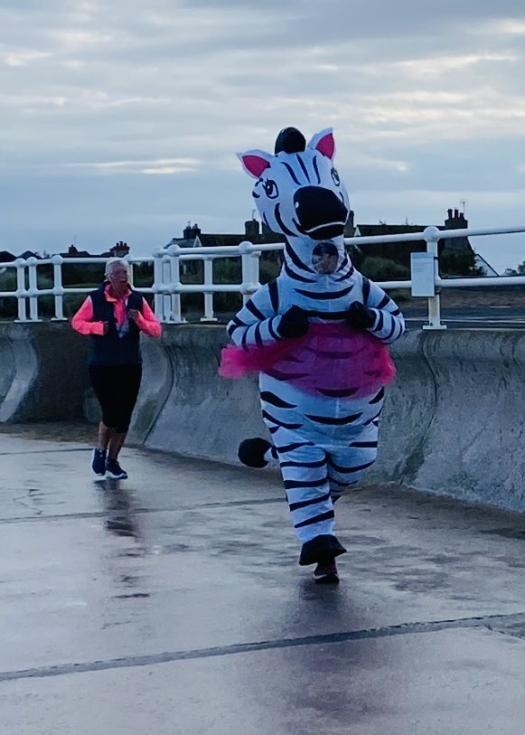 runtoeatcake's tweet image. As @lloyd_geoff and his running club, @PrestatynRC did a volunteer parkrun takeover at Nova Prestatyn parkrun this morning and I’m not allowed to run at the moment (injured 🙄) I walked it in 49:41 … and saw a zebra running 😂🤓

#alwaysasolution
#parkrun
#notgivingup