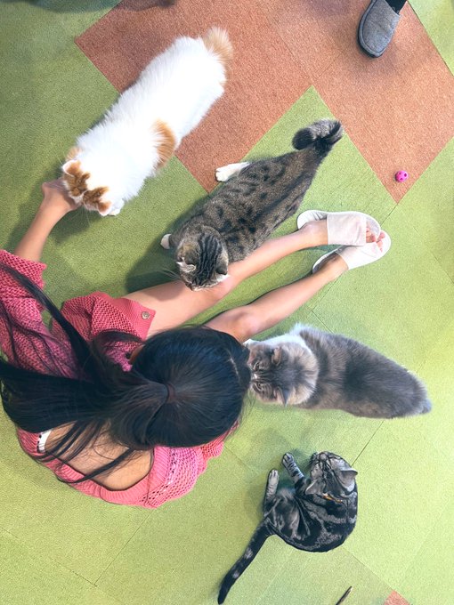 Twitterのコスプレ画像42