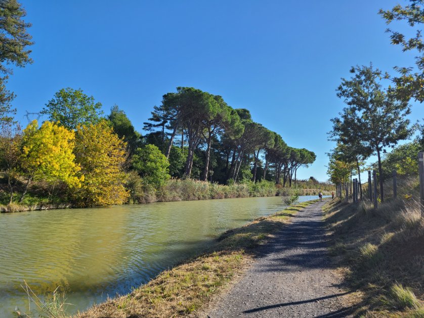 Exploring new paths and trails this week, in the autumn sunshine too!